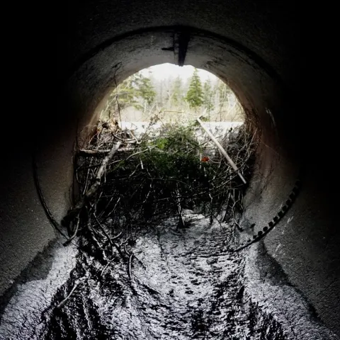 Blocked culvert - S. Lisle