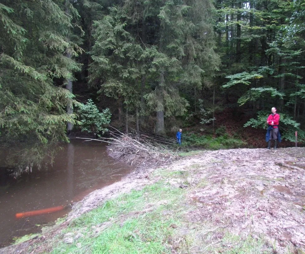 beaver deceiver - R. Campbell-Parker