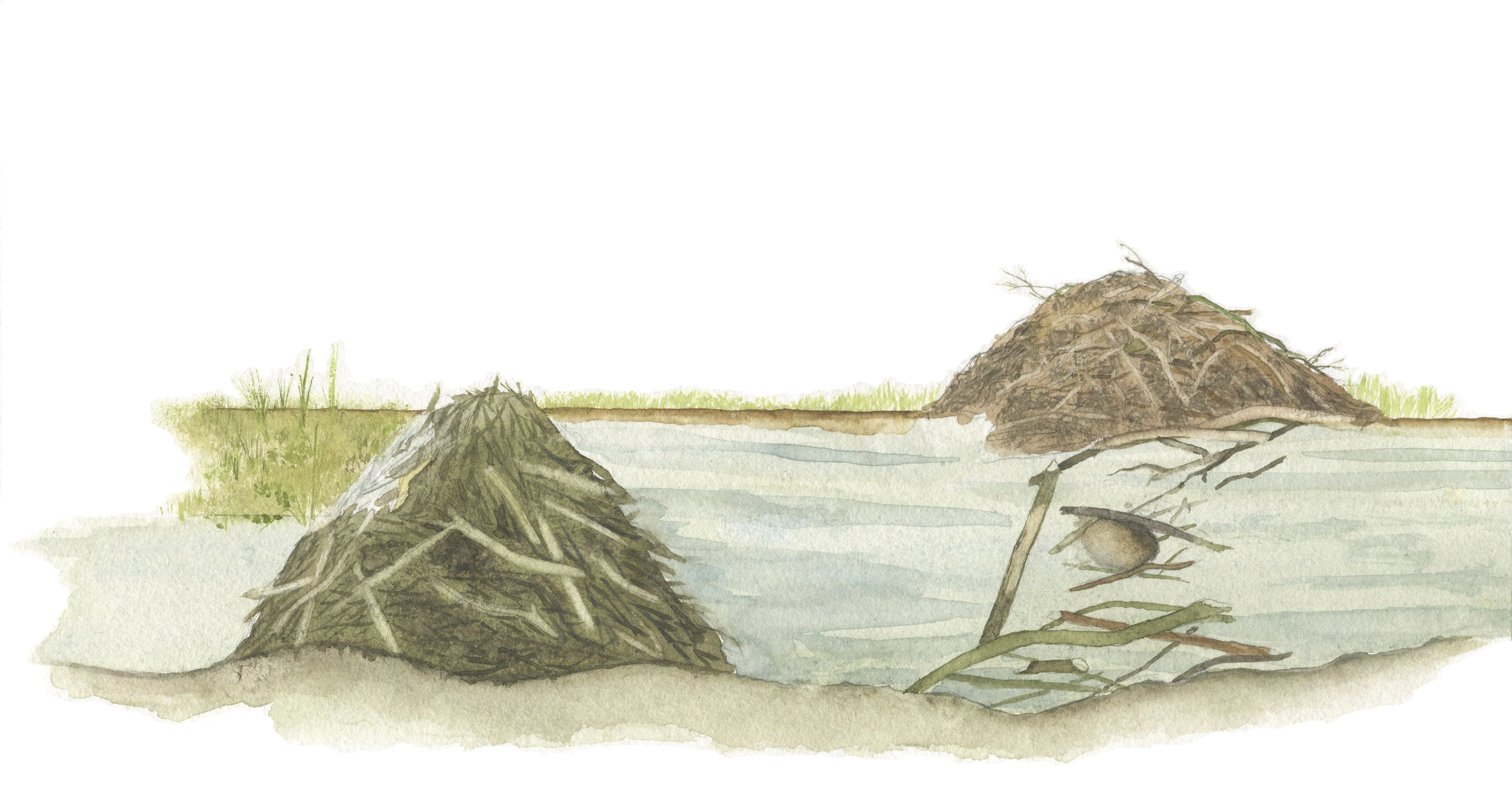 Dam and lodge side-view drawing - D. Klees