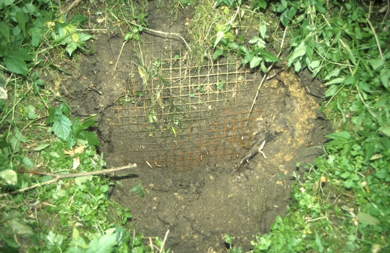 Wire mesh in ground - G. Schwab