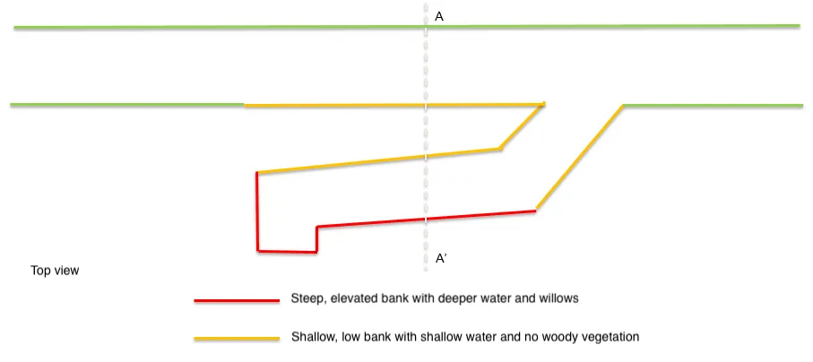 Schematic top view of side stream - V. Dijkstra