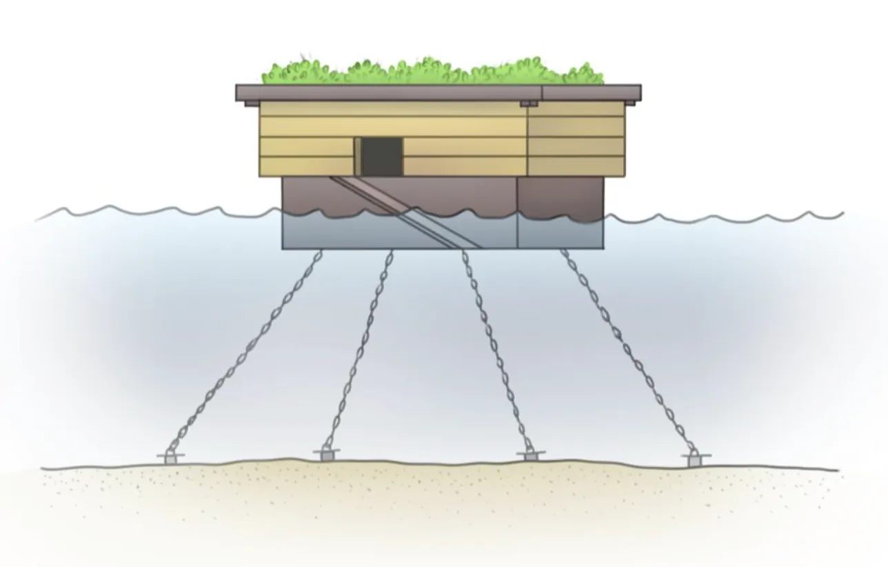 High-water refuge impression 3 - SeaBlueBird Studio